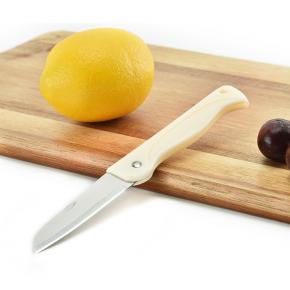 Folding household paring knife