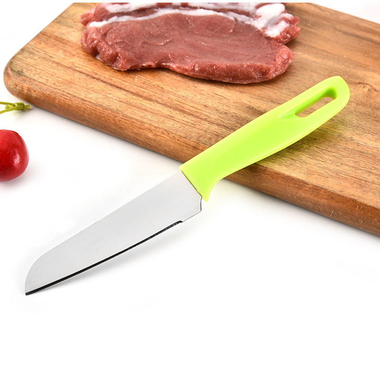 Portable paring knife with sheath